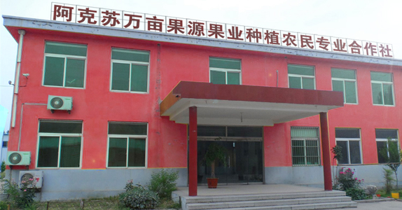关于我们